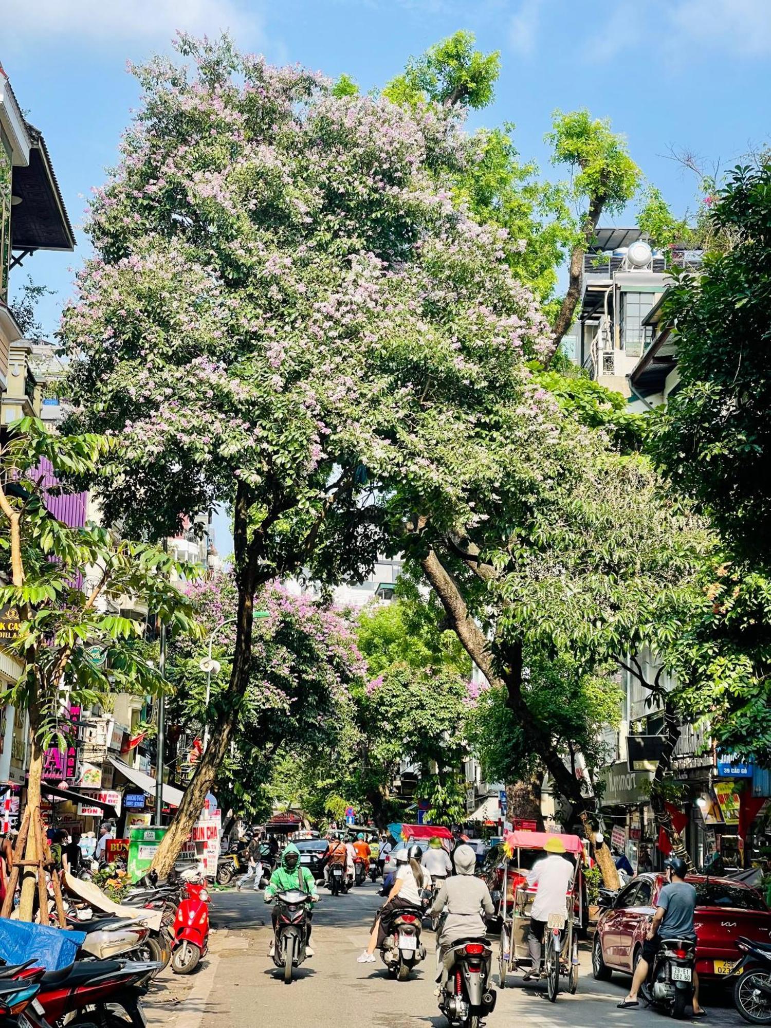 Old House Homestay Hanoi Exterior photo